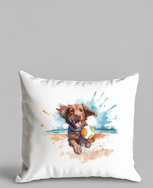 Custom Pillow